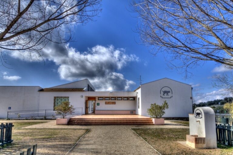 El centro de visitantes de Venta Nueva en Cardeña dispondrá de una nueva pasarela de acceso