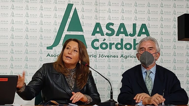 La Junta solicitará al Ministerio de Agricultura mecanismos urgentes para mitigar los costes de producción del campo