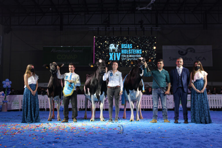 La XIV Feria de Ganado Frisón Usías Holsteins finaliza con un gran éxito de público y de calidad en los concursos