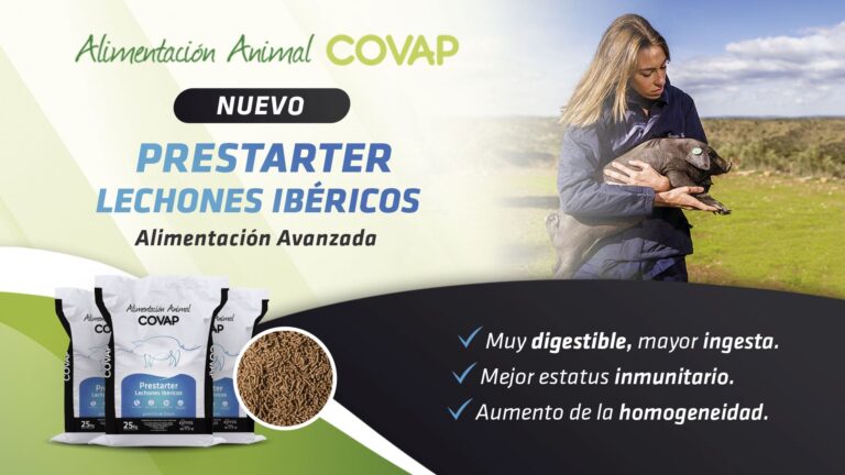 Alimentación animal COVAP innova con una solución para potenciar la cría de lechones ibéricos