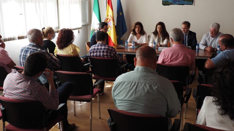 Encuentro entre Junta y ayuntamientos para exigir a Endesa que realice una inversión urgente en la zona norte de Córdoba