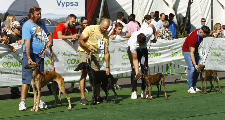 Intercaza 2022 calienta motores de cara a su próxima celebración con un completo programa de actividades previas