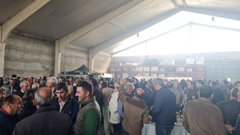 Gran éxito de la jornada de ovino de Dehesas Cordobesas en Hinojosa del Duque