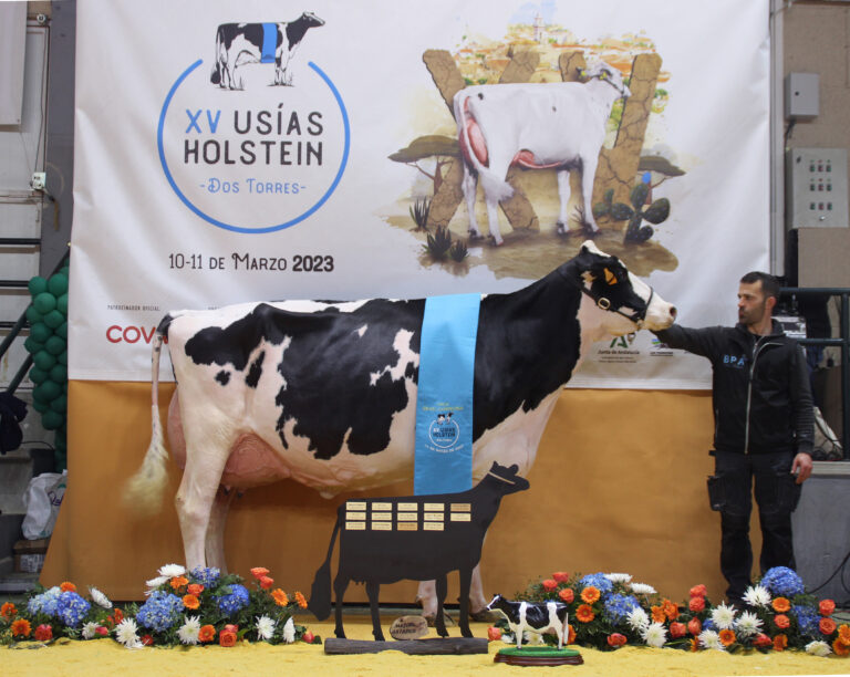 La XV Feria de Ganado Frisón “Usías Holsteins” atrae público de toda España y de Portugal