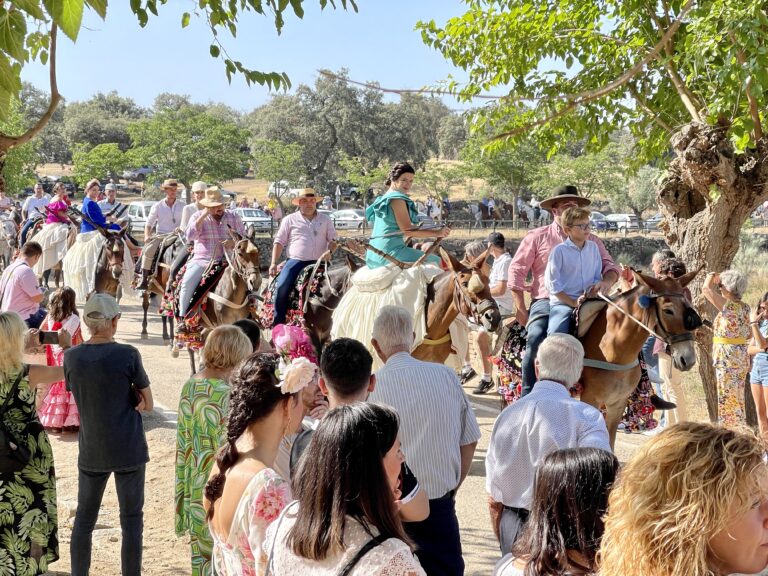 La Fiesta de los Piostros congrega a más de 500 caballerías en dos intensos días de celebración