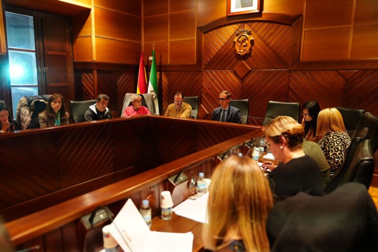 El Pleno de Pozoblanco aprueba la congelación de tasas e impuestos y la ampliación del contrato del Servicio a Domicilio Pleno Pozoblanco