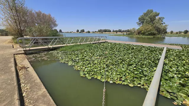 La Confederación del Guadiana también detecta cianobaterias en el Río Guadiana a su paso por Badajoz