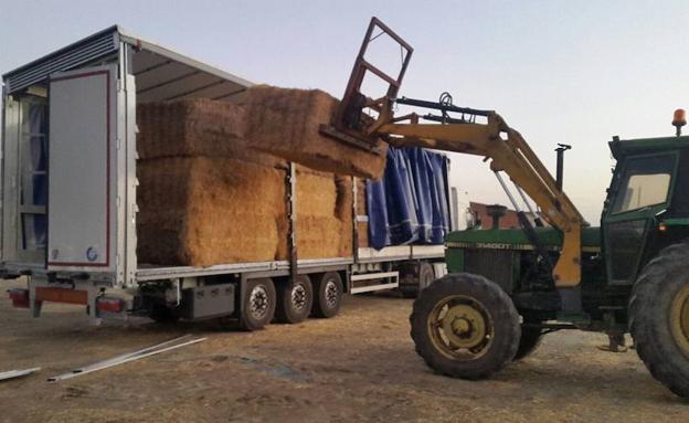 ganaderos norte Córdoba