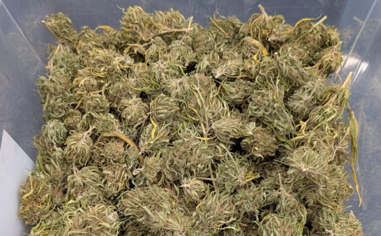 La Guardia Civil ha detenido en Hinojosa del Duque a dos personas como presuntos autores de un delito de tráfico de drogas