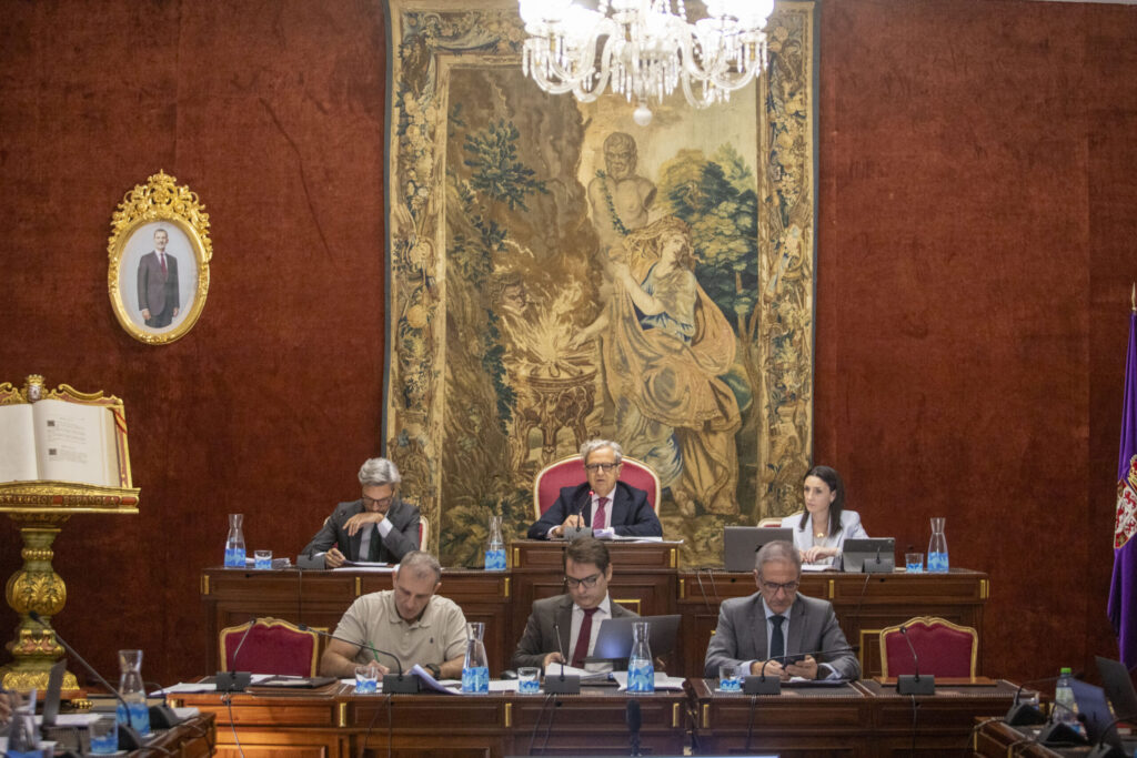 El Pleno de la Diputación aprueba destinar cerca de 500.000 euros a sufragar los planes municipales para luchar contra el virus del Nilo