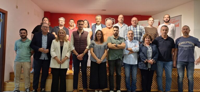 El PSOE de Los Pedroches y el Guadiato pide al Gobierno que acometa ya la inversión eléctrica en estas comarcas de Córdoba