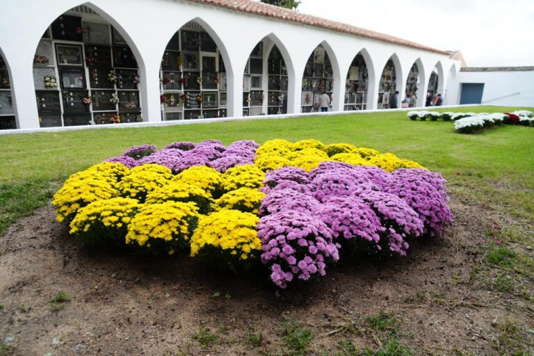 El Ayuntamiento de Pozoblanco pone a punto las instalaciones del Cementerio Municipal de cara a la festividad de Todos los Santos y Difuntos