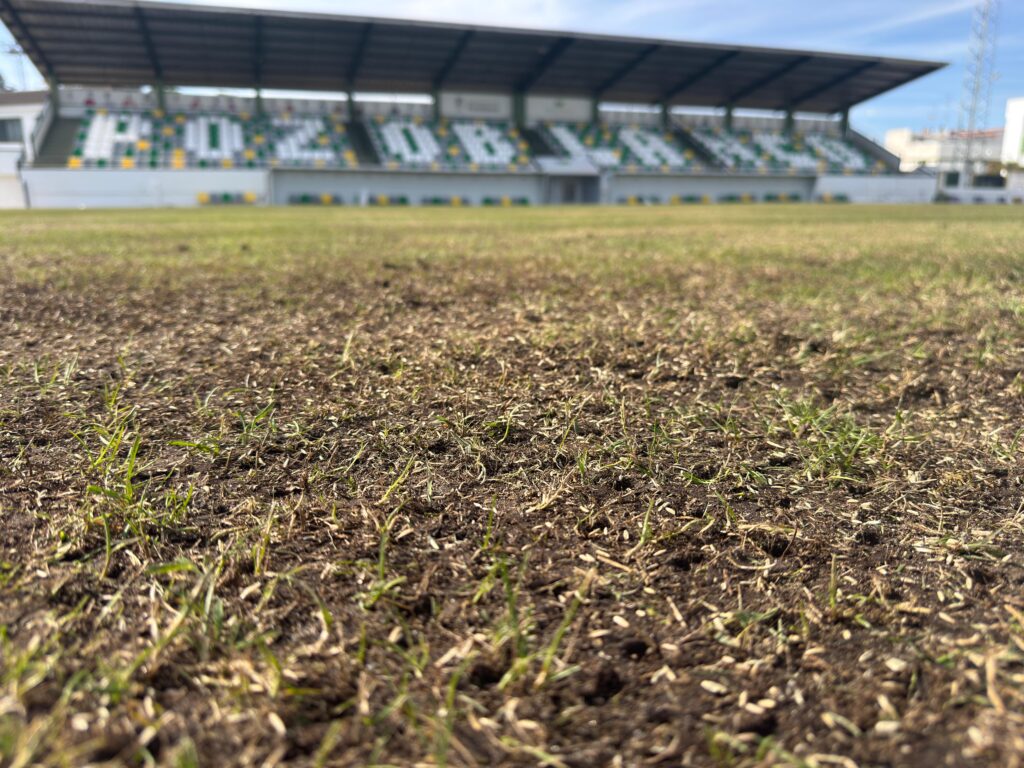 El Ayuntamiento de Pozoblanco ejecuta trabajos de mejora del césped del Estadio Municipal Nuestra Señora de Luna