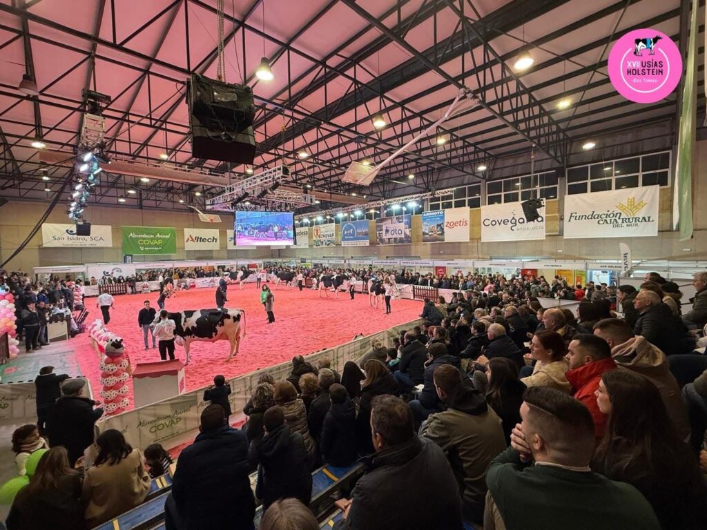 Suspendida la Feria Usías Holsteins por la situación sanitaria animal en España