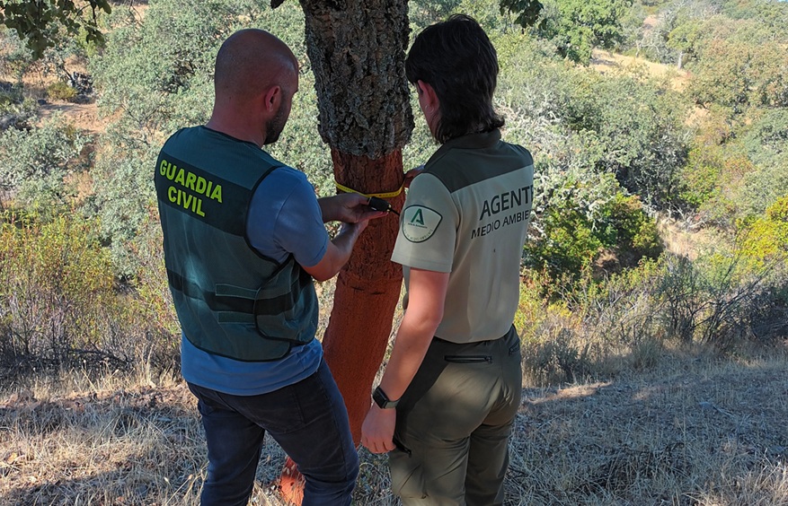 La Guardia Civil investiga en Villanueva del Duque a una persona como presunto autor de un delito de hurto de corcho