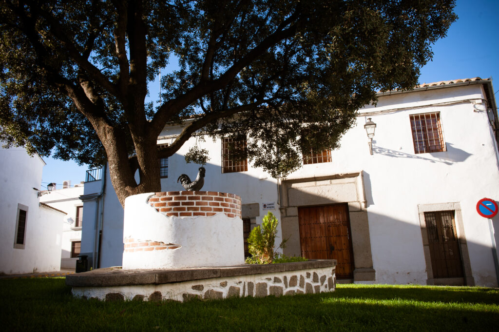Pozoblanco estará representado en Bruselas en el próximo Panel Ciudadano Europeo sobre preparación ante crisis