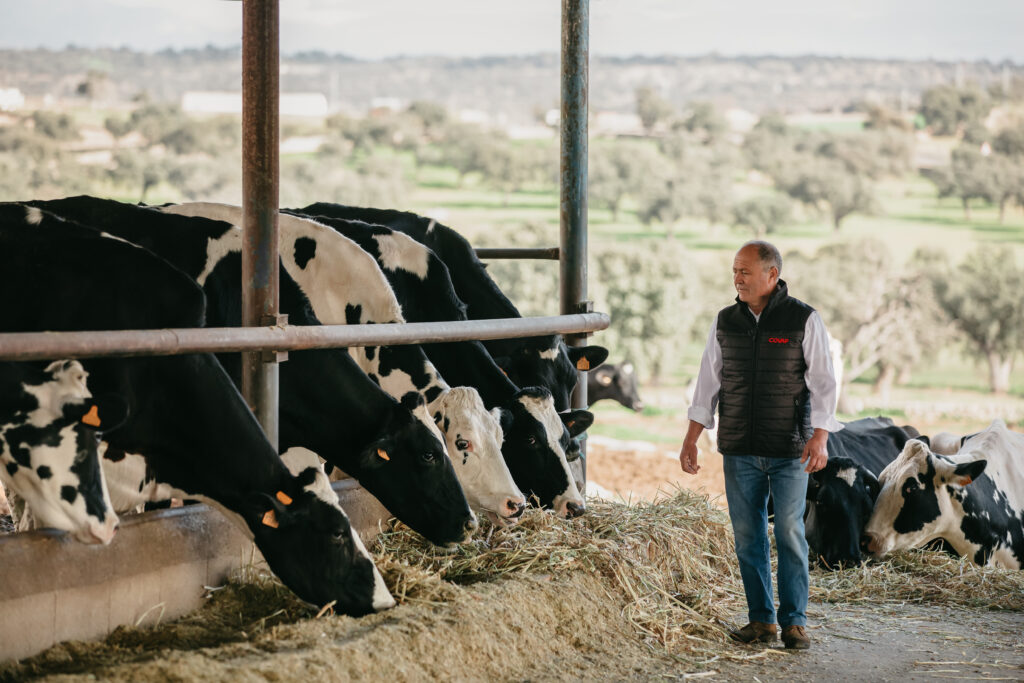 COVAP reduce más de un 18% la huella de carbono en cada litro de la leche de vaca que produce