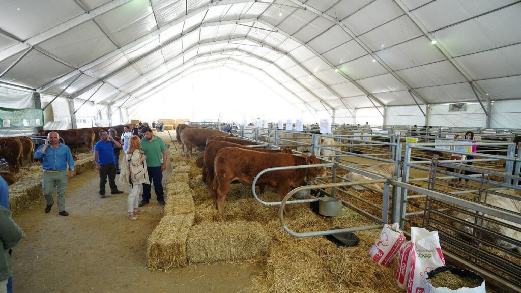 El PSOE pide la convocatoria del consejo rector de Confevap para abordar la celebración de la Feria Agroganadera