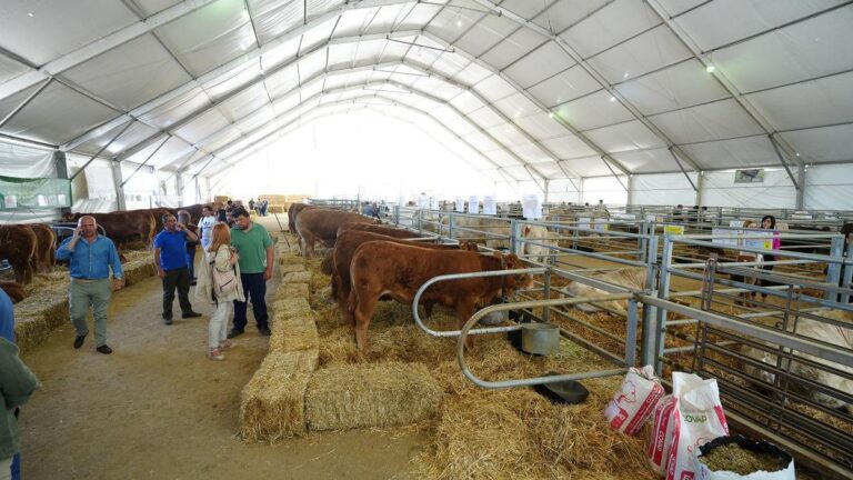El PSOE pide la convocatoria del consejo rector de Confevap para abordar la celebración de la Feria Agroganadera
