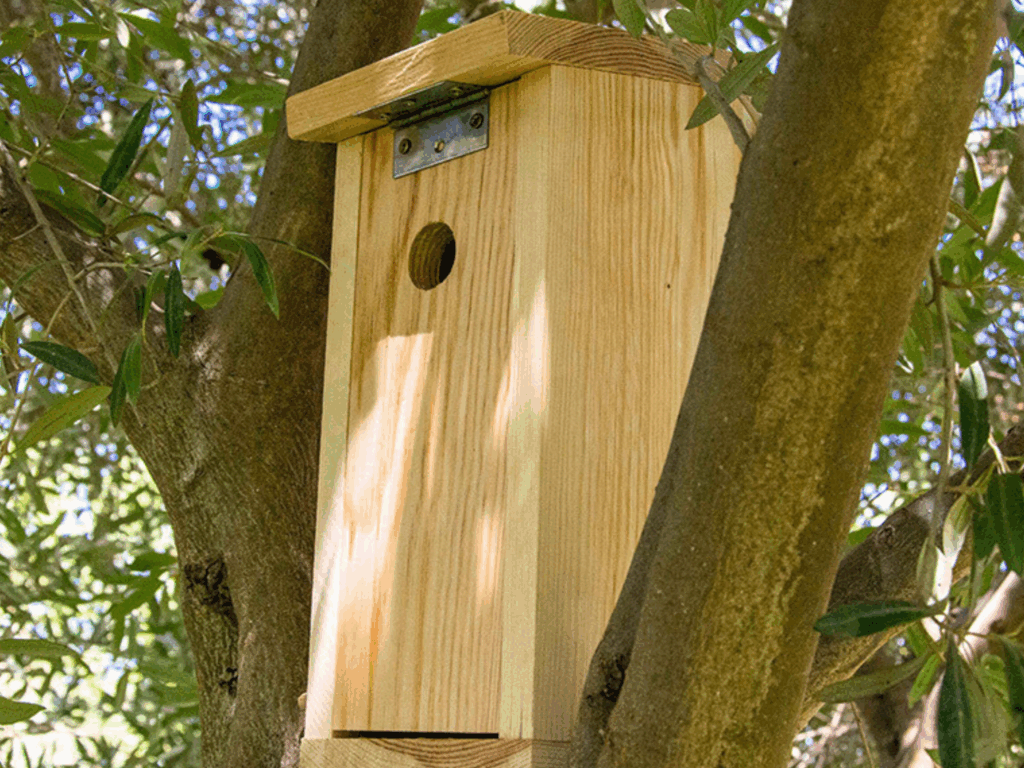 Fundación PRODE impulsa, a través de su proyecto El Dehesafío, la campaña 2026 de instalación de nidales