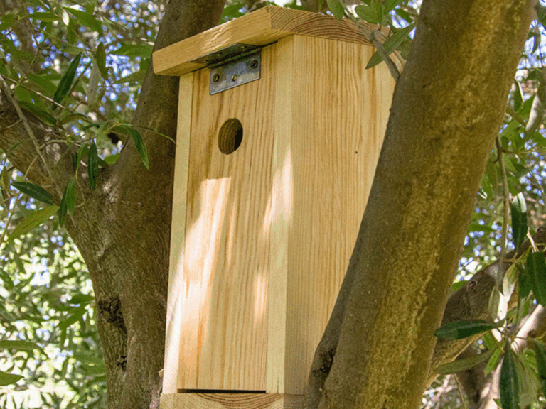 Fundación PRODE impulsa, a través de su proyecto El Dehesafío, la campaña 2026 de instalación de nidales