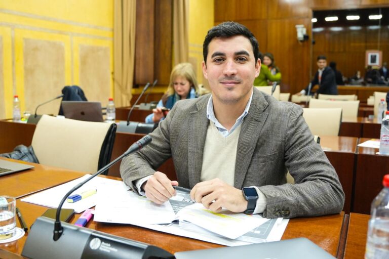 El PP exige al Gobierno central inversiones en infraestructuras eléctricas para garantizar el desarrollo de Córdoba