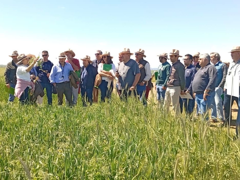 Más de 200 ganaderos y profesionales de distintos ámbitos participan en las Jornadas Técnicas de la Feria Agroganadera