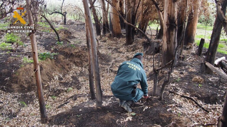 La Guardia Civil investiga a una persona en Espiel como presunta autora de un incendio forestal