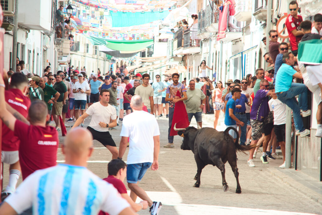 El Viso presenta su programación para la Feria y Fiestas en Honor de Santa Ana, que tendrá lugar del 23 al 28 de julio