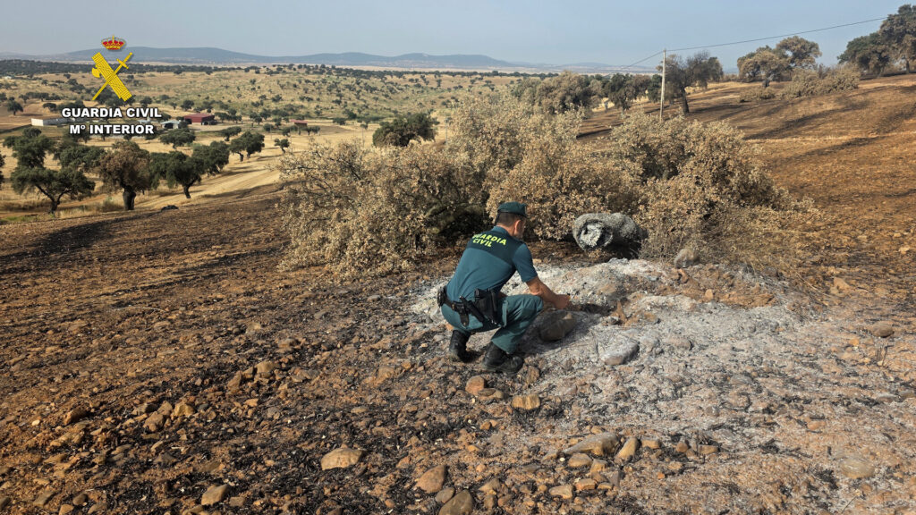 El SEPRONA investiga a una persona como presunta autora de un incendio forestal en Los Blázquez