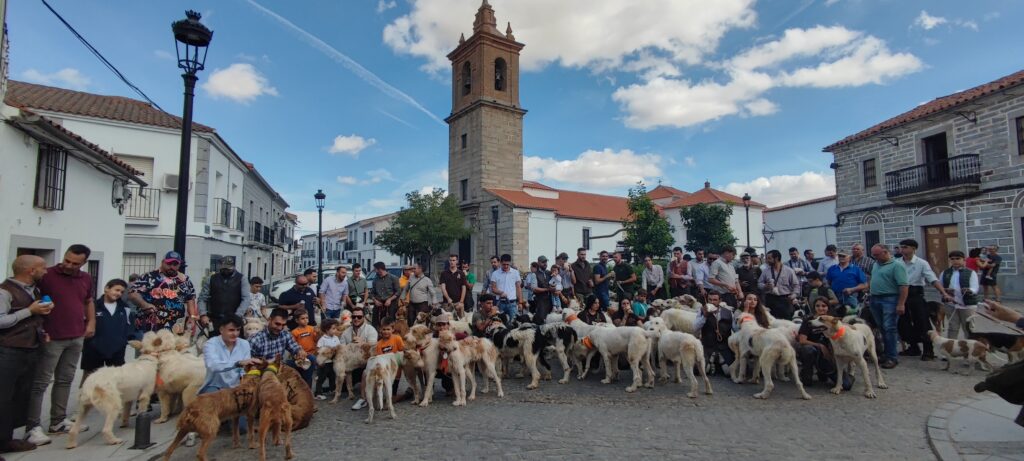 Ruraleando convierte a Añora en escaparate de la cultura y de las tradiciones del mundo rural de Los Pedroches