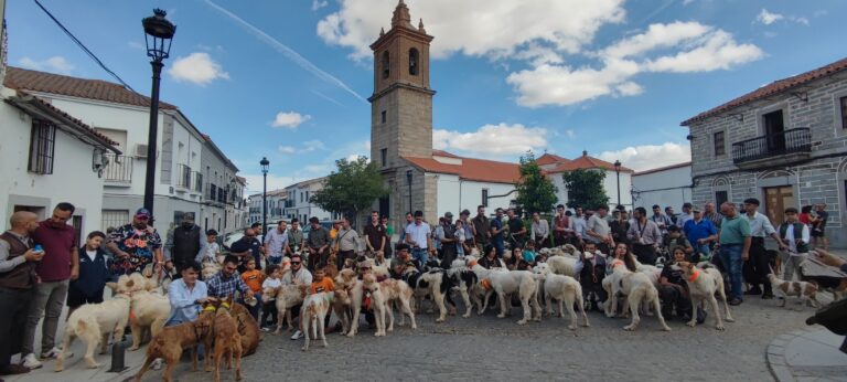 Ruraleando convierte a Añora en escaparate de la cultura y de las tradiciones del mundo rural de Los Pedroches Ruraleando convierte a Añora en escaparate de la cultura y de las tradiciones del mundo rural de Los Pedroches