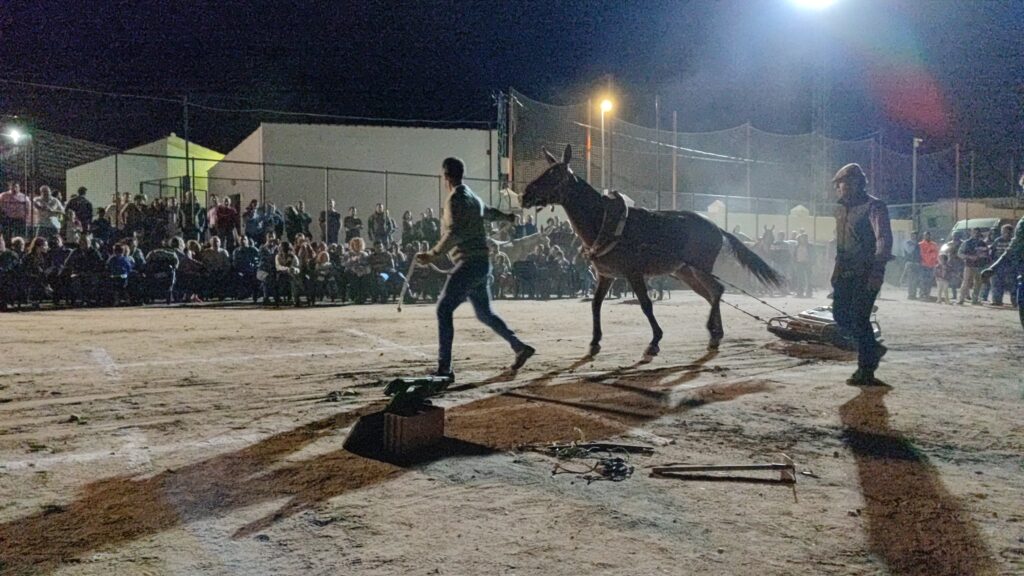 Ruraleando convierte a Añora en escaparate de la cultura y de las tradiciones del mundo rural de Los Pedroches