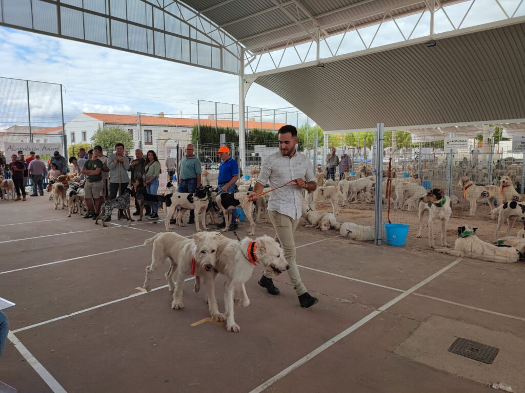 Ruraleando convierte a Añora en escaparate de la cultura y de las tradiciones del mundo rural de Los Pedroches