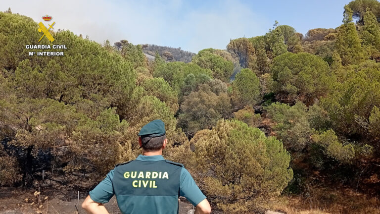 El SEPRONA de la Guardia Civil de Córdoba esclarece 5 delitos de incendio forestal en la provincia de Córdoba